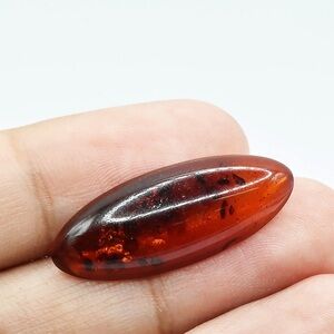 4,25 Ct Baltic Amber Cabochon Reddish Brown